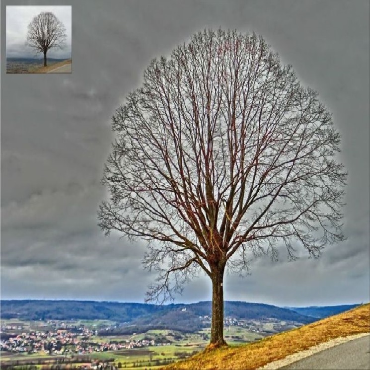 Bild vergrssern