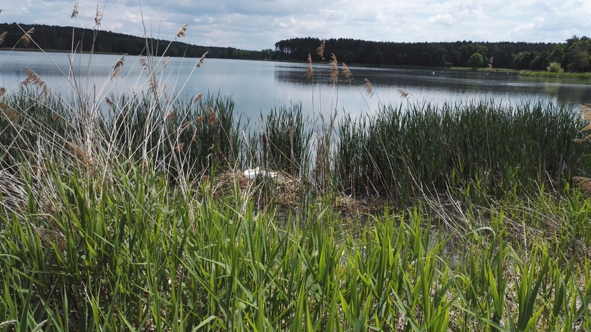 Bild vergrssern